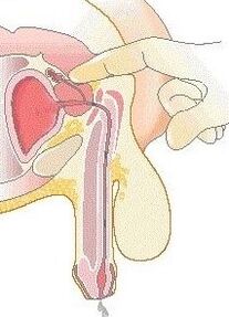 Massaggio alla prostata